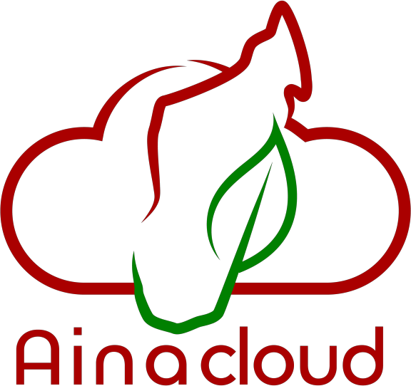 AinaCloud